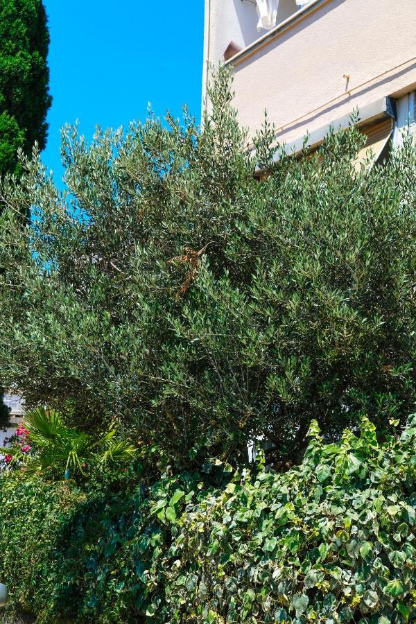 Olive Shade - Apartment Near The Beach Split Ngoại thất bức ảnh